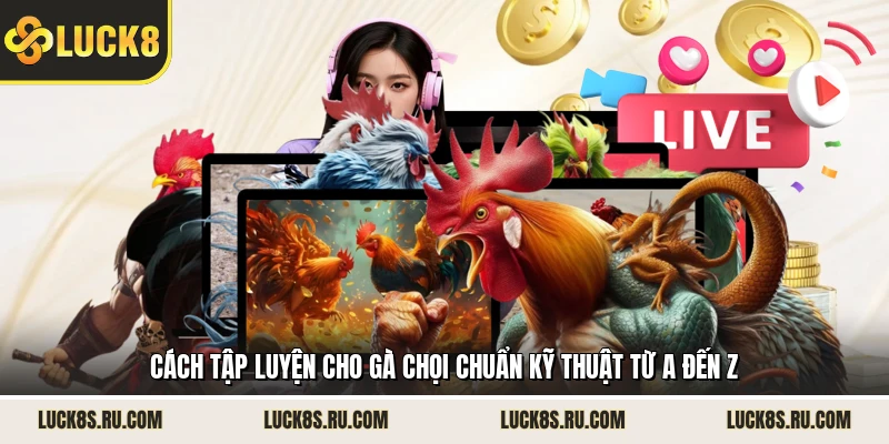 Cách Tập Luyện Cho Gà Chọi Chuẩn Kỹ Thuật Từ A Đến Z