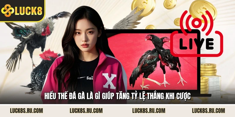 Hiểu thế đá gà là gì giúp tăng tỷ lệ thắng khi cược