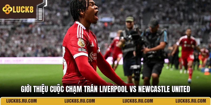 Giới thiệu cuộc chạm trán Liverpool Vs Newcastle United